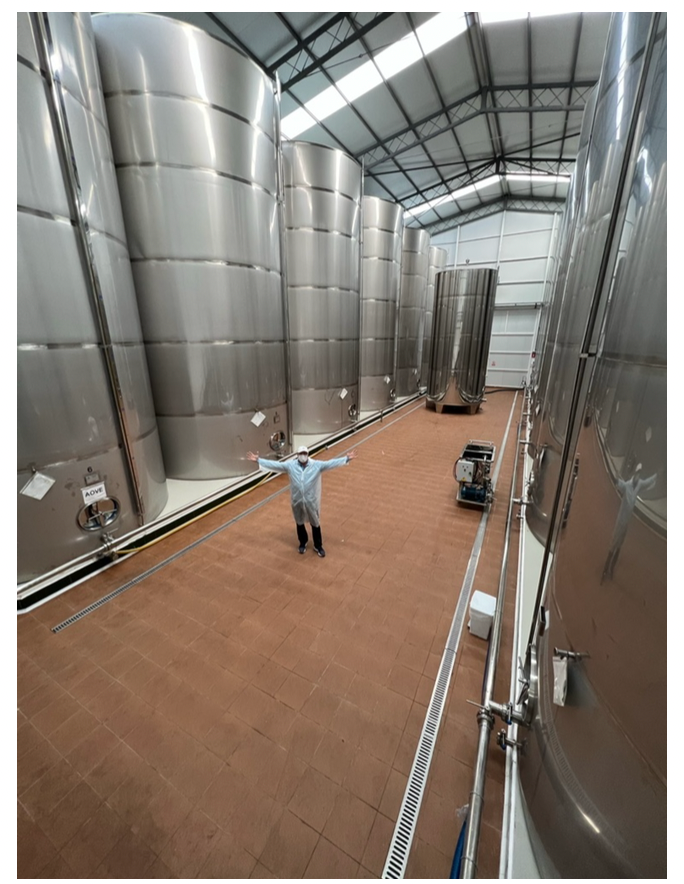 A Book Case: Extra Virgin Olive Oil- The Truth In Your Kitchen- Pub. 2022- David M Neuman- WHOLESALE ITEM