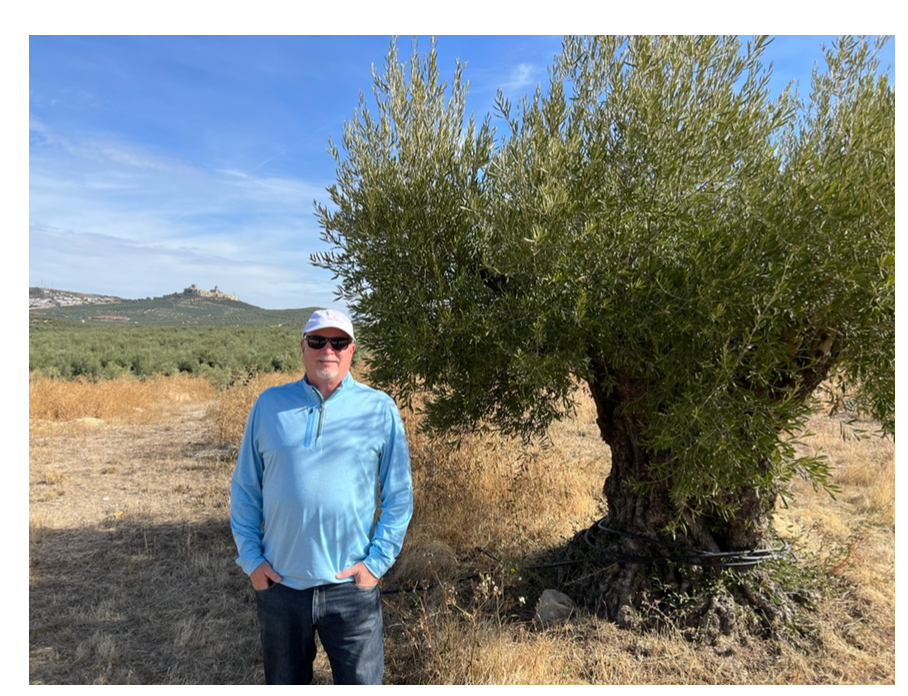 A Book Case: Extra Virgin Olive Oil- The Truth In Your Kitchen- Pub. 2022- David M Neuman- WHOLESALE ITEM