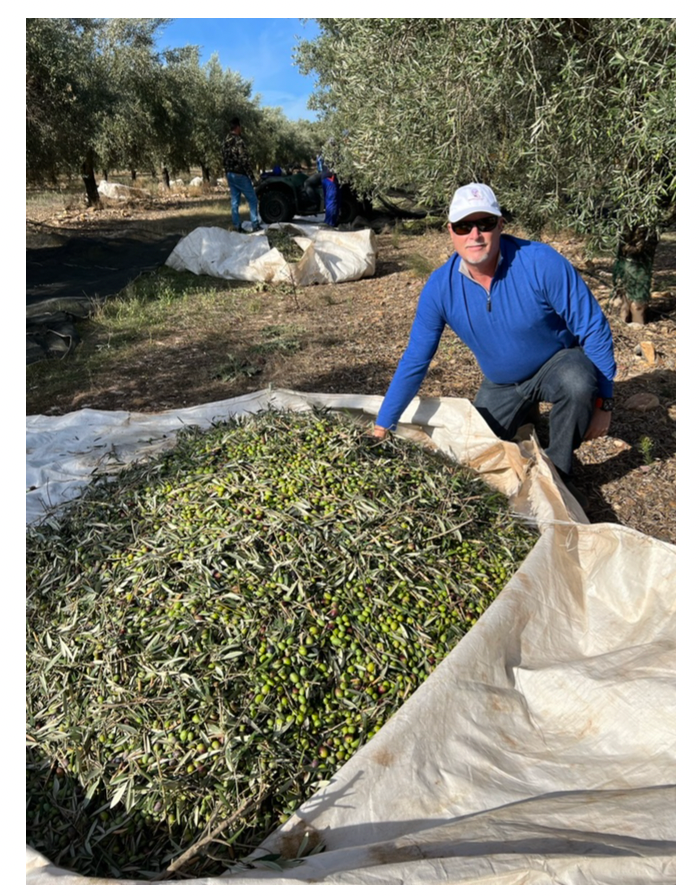 A Book Case: Extra Virgin Olive Oil- The Truth In Your Kitchen- Pub. 2022- David M Neuman- WHOLESALE ITEM