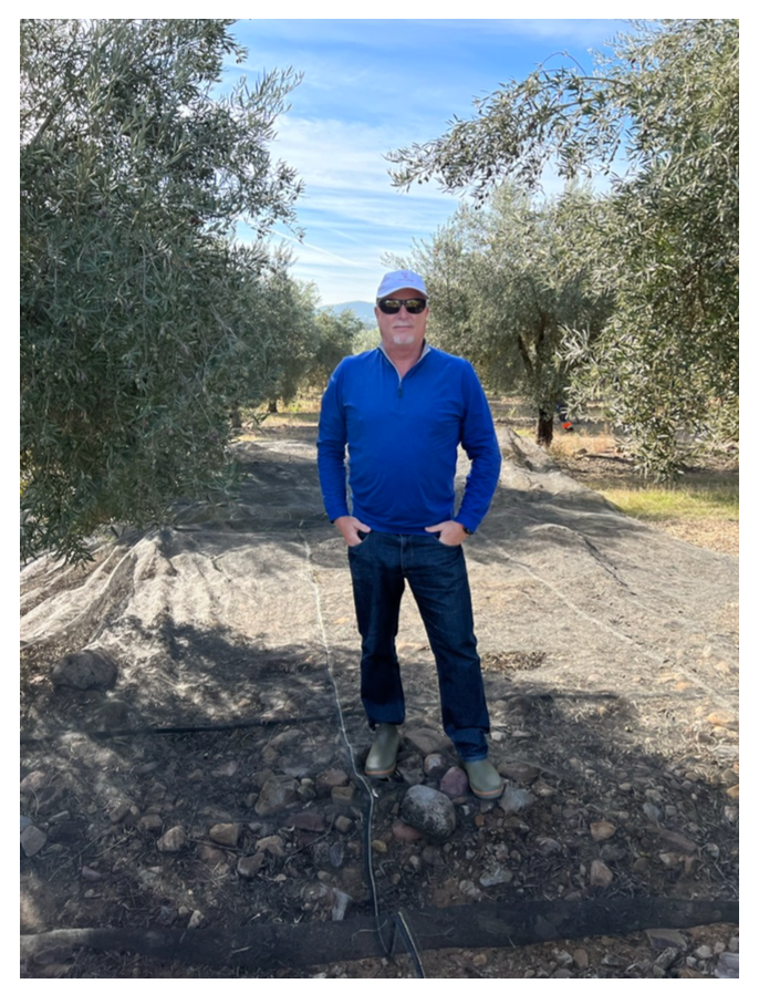 A Book Case: Extra Virgin Olive Oil- The Truth In Your Kitchen- Pub. 2022- David M Neuman- WHOLESALE ITEM